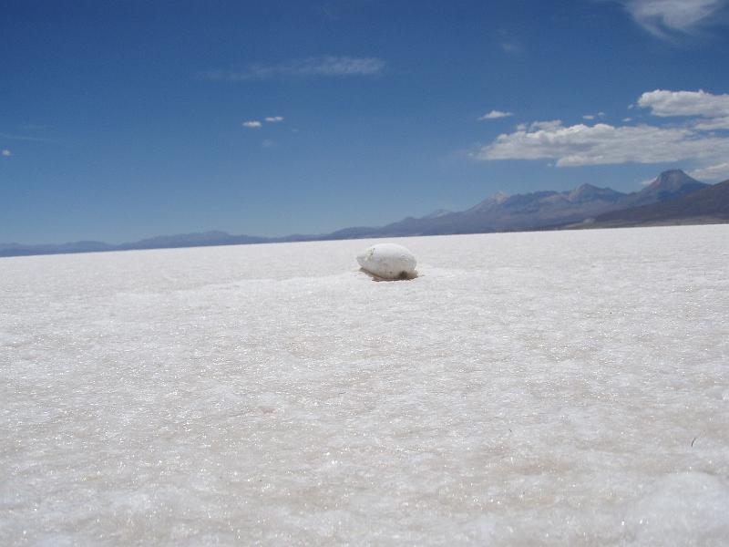 Coipasa Salt Flats (23).JPG